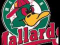 Madison Mallards vs. Wisconsin Woodchucks - 7/11/08