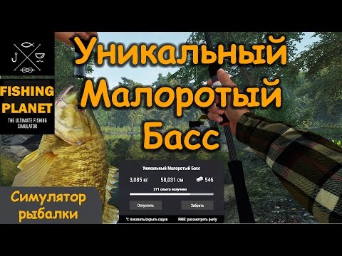 как ловить длинноносого панцирника как ловить длинноносого панцирника