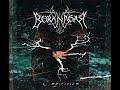 Borknagar - The Black Canvas