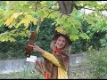clip vid�o eva d.