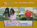 夏帆動画12