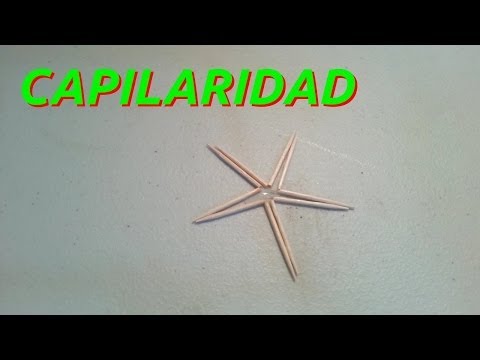 capilaridad. - Experimento sencillo para demostrar la capilaridad. Unicamente se necesitan palillos de dientes y agua, y el resultado es muy llamativo, simple y fácil de ha...