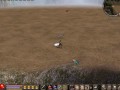 la vida en sdlongju