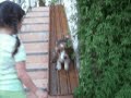 LOLO juega en el tobogán
