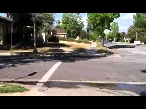 how to fertilize st augustine grass in california