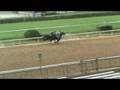 Prince Teton Breezes 10 14 2008