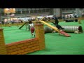 Dog Agility (2008/3/29 JKC CUP Agility Large Vol.4)