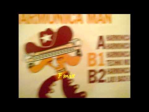 BRAVADO - HARMONICA MAN
