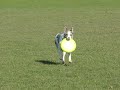 Fremen, Frisbee Champion