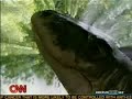 Creationism debate on CNN's 