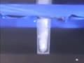 videos de Compound Thawing