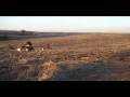 videos de ridin part1.wmv