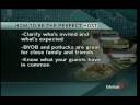 Kimberly Law - New Years Party Etiquette Kimberly Law - New Years Party Etiquette