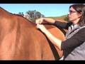 How to fit your saddle