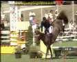 Show jumping is hot !