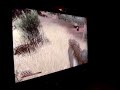 Far Cry 2 Fan Day - Video 1