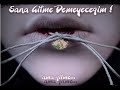 Yeliz D�n Ne Olur