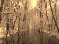Makin' Whoopee-No pianoless quartet