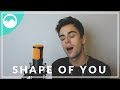 Ed Sheeran - Shape of You - Cover by ROLLUPHILLS