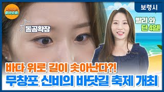 무엇이든 물어보령ㅣ바다 위로 길이?! 무창포 신비의 바닷길 축제