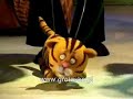 Tygrys Pietrek - mix (Peter the Tiger)