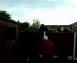Pav-on-the-Shed-dancing-lol