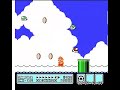 Mario3 secret stage