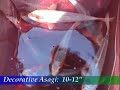 Blackwater Creek: Asagi Koi special Blackwater Creek: Asagi Koi special