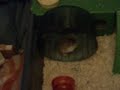 Bubble and his wheel