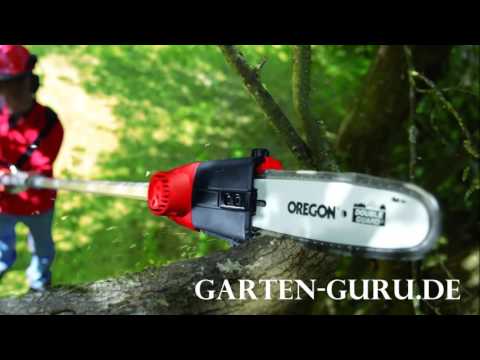 Hochentaster Test 2016 | Garten-Guru.de