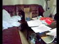 My apartment