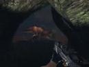 Kill T Rex