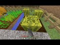 Minecraft - Del 18 - Djurbebisar!