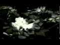 Milla Jovovich - The Gentleman Who Fell (Maya Deren's "Meshes of the Afternoon" version)
