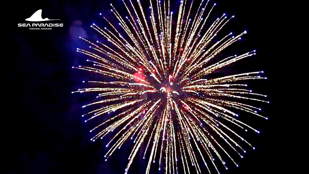 [問題] 箱根、橫濱請益