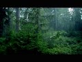 Snowball in swedish commercial??