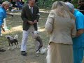 Dog Show  Chinese Crested