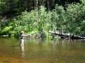 Fly Fishing the Brule River