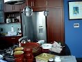 noisy fisher paykel fridge noisy fisher paykel fridge