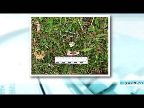 Тело женщины обнаружено на реке в 300 метрах от спасательной станции видео
