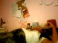 videos de Helena Sings