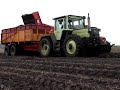 Aardappelsrooien MB Trac Case-IH Grimme en Trekkerweb.nl