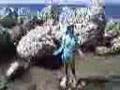 Val Discovery Channel Val Discovery Channel