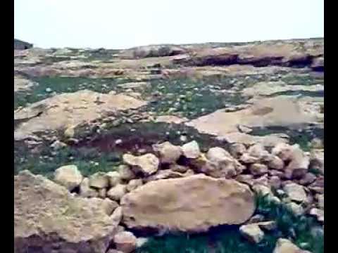 EŞEK SİKİ