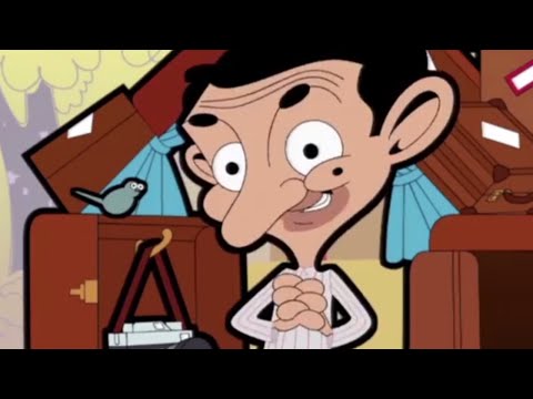 Mr. Bean - Wildlife Photography