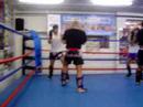 Sparring im T.K.B.C. Luzern 2 Sparring im T.K.B.C. Luzern 2