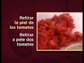 America al gusto / moqueca de camaron