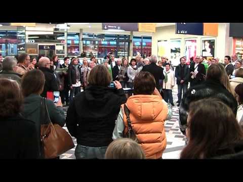 Aschaffenburg - Flashmob in Aschaffenburg, organisiert von Concordia Straßbessenbach am 12.10.2013. Gefilmt mit 2 Digital-Kameras in SD-Qualität.
