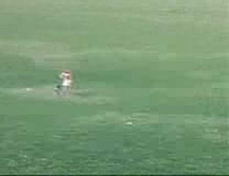 Kids rolling down grass hill, San ...