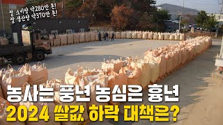 농사는 풍년, 농심은 흉년! 2024 쌀값 하락 대책은!?
